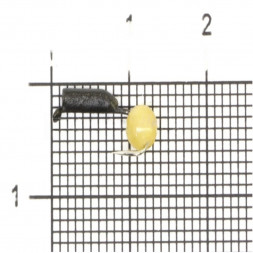 Мормышка вольфрамовая True Weight цена за 1 шт Гвоздешарик гв. d1.5 кош. глаз желтый